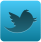 twitter_icon_2011