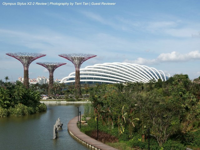 OLYMPUS DIGITAL CAMERA