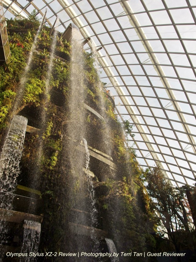 OLYMPUS DIGITAL CAMERA