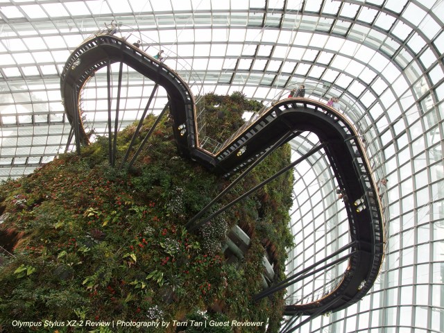 OLYMPUS DIGITAL CAMERA