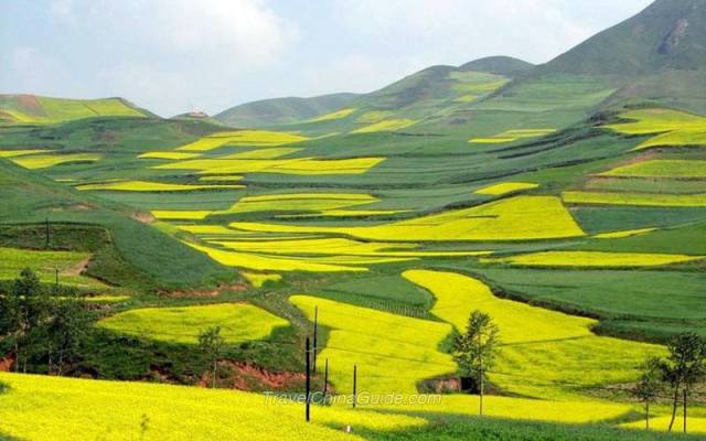 941527_10200634539618799_822095157_n