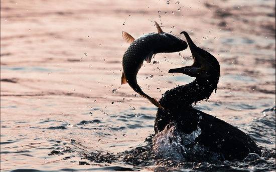 971268_10200634542778878_1572656473_n