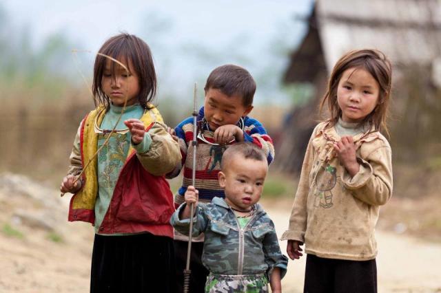 391264_10150367853544442_1580859632_n