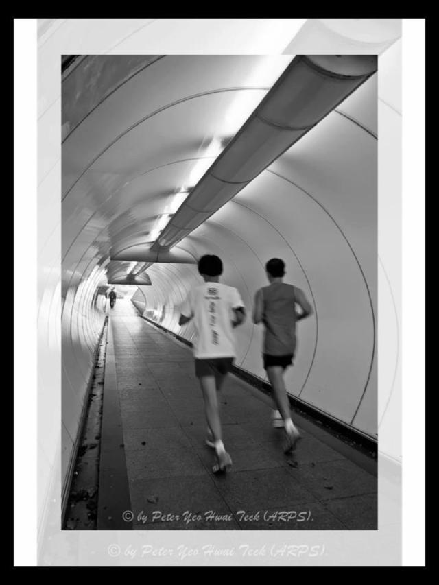 481119_10151290403954117_427188247_n