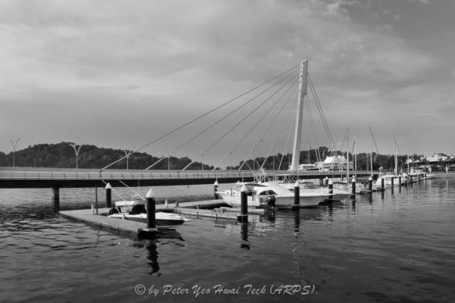 481691_10151152112369117_1835519167_n