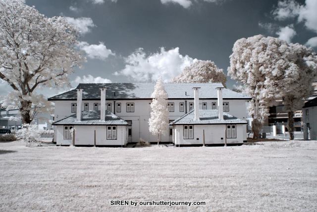 1781936_10203173476315960_1172768012_n