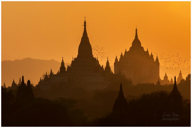 B76A4595 ~ Lee Siew Yian