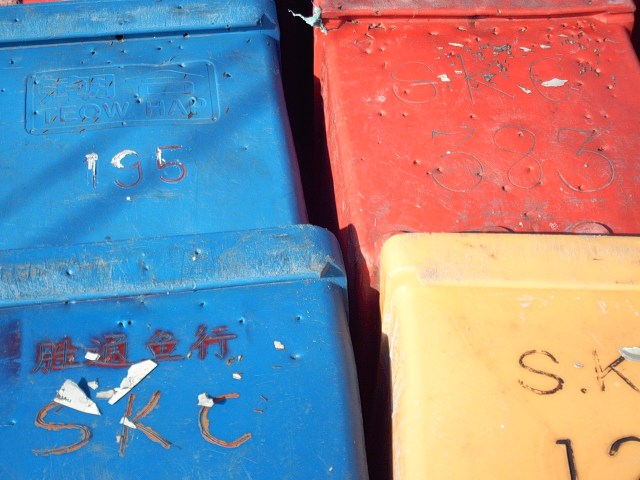 My beautiful picture