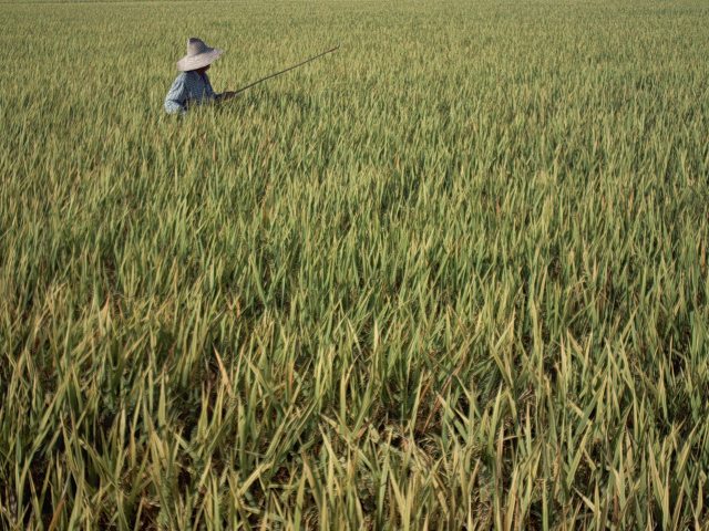 My beautiful picture