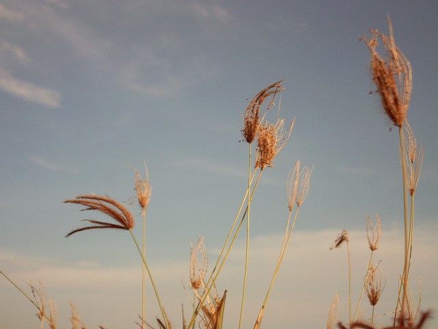 My beautiful picture