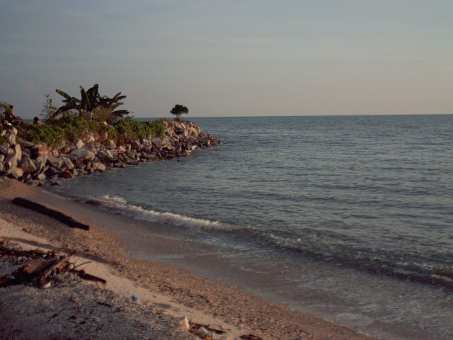 My beautiful picture