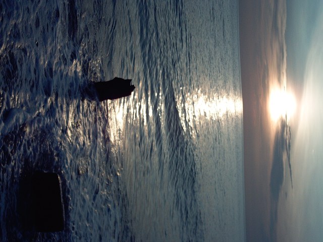 My beautiful picture