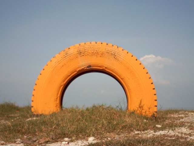 My beautiful picture