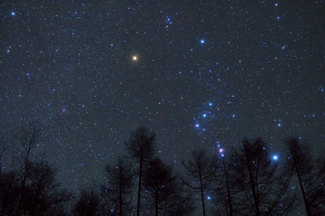 Nikon-D810a-sample-images-2