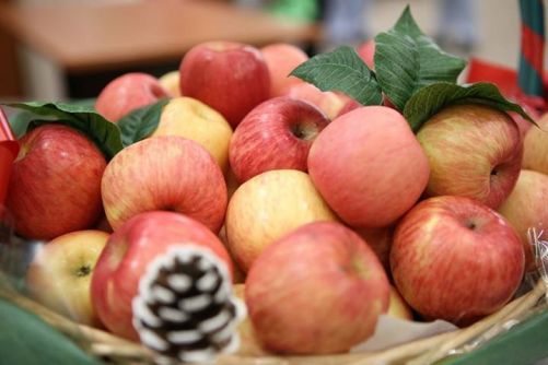 Norafida Tomoshika Luketika