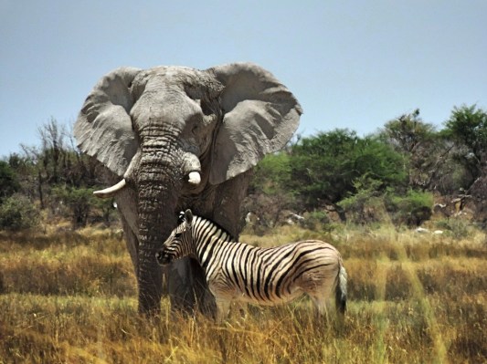 stories d namibiatourism d com d na