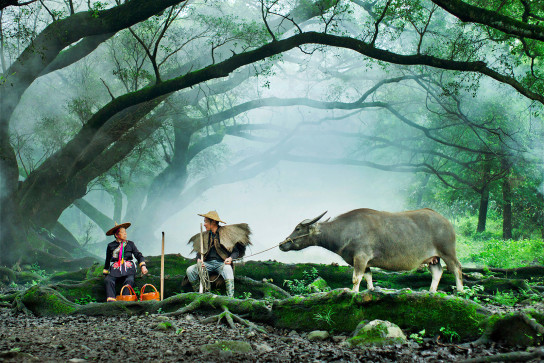 Travelling-with-the-Leica-T-by-Michael-Lee-544x363