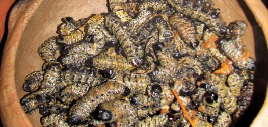 traveltourismblog d com 3