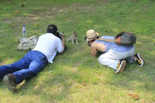 11900023_10153003639732233_9027737696478782119_n