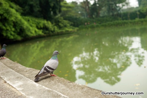 SY35F14_1.1000s_iso100_F4-11