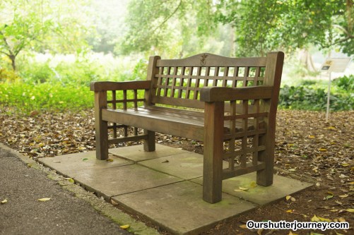 SY35F14_1.40s_iso100_F5.6-11