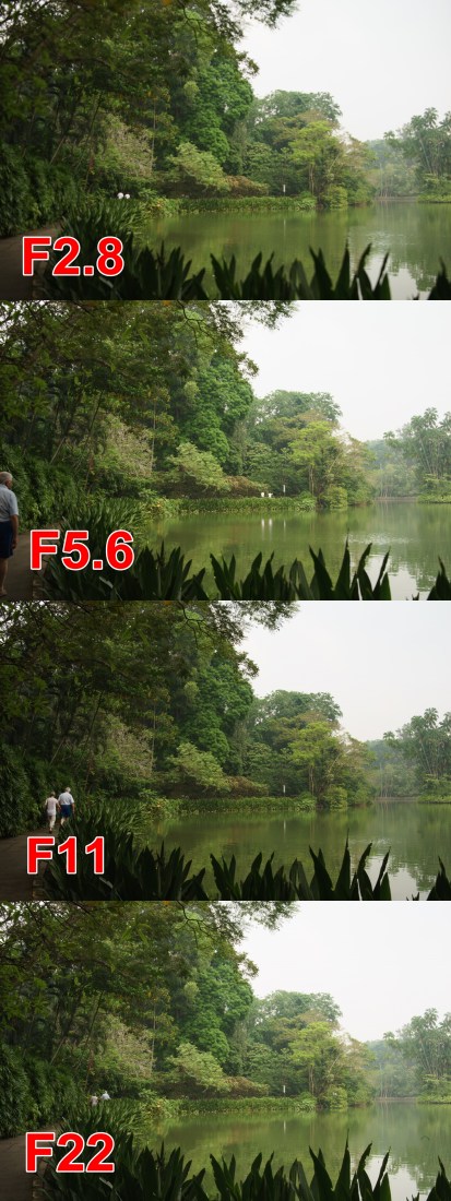 SY35F14_1.800s_iso100_F2-vert