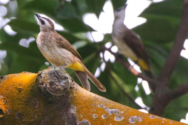 k-o3UsMin8ld5xQBartB0ZXJCuV377TZtTma4vDbckk