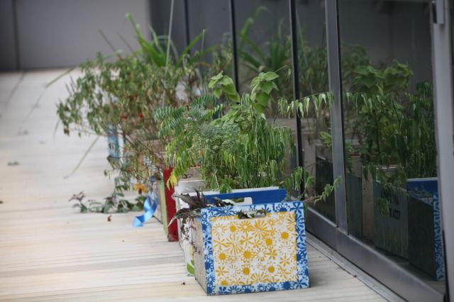 Pii87hkHYnv1Sfq6xpIWC3CBi7UK71pB88fCjNm6jYU,rsx3DC24G-5bvk_vTZ1jDEda4u1WXCxrSOBuzy4ARKk