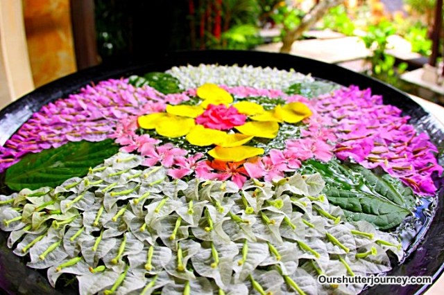 1914832_102088936498324_6896335_n