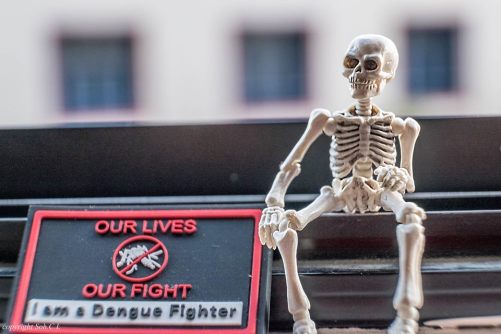 chui lian I am anti-dengue ambassador