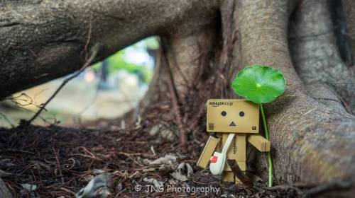 joanna ng Shelter yourself from the storm