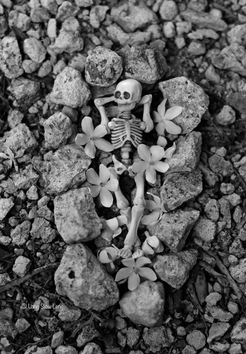 Siow Leng Laid to rest