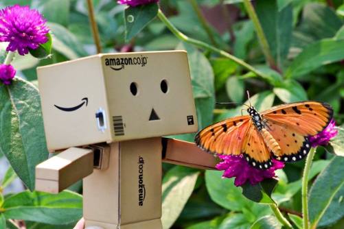 Susan Gwee Found someone who love the flower as much as I do...