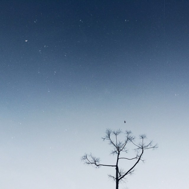 10644797_1149929191684826_2187015030981780305_n