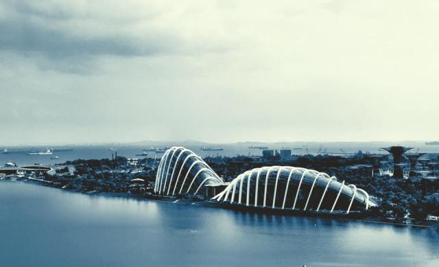 12079111_1677756952492918_1032077685561659813_n