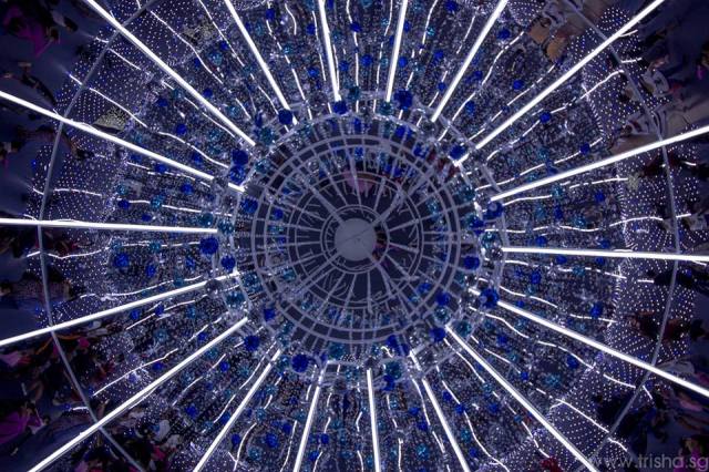 12348063_10154382331739046_7664523285906699253_n