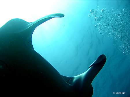 943963_10153320848662233_4274769245508262302_n