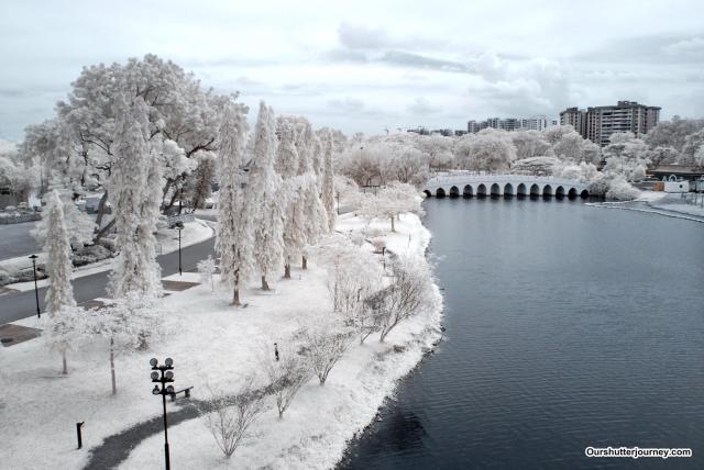 16797094_1565515536822316_2523863649882282077_o