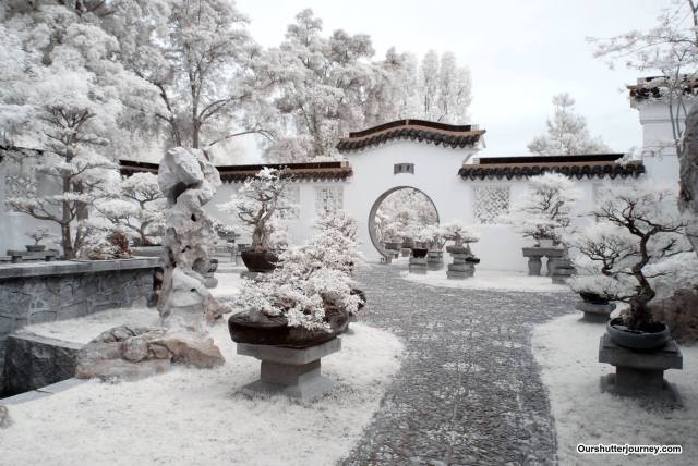 16797272_1565515606822309_7840253668154328831_o