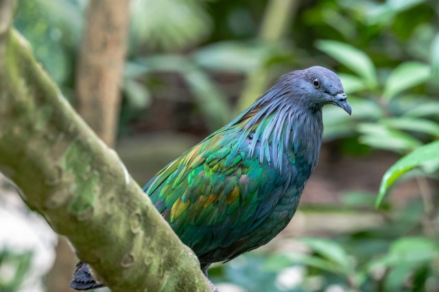 Tarek Abdelkader.jpg