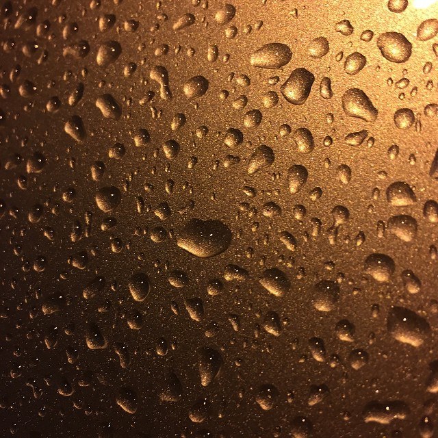 11390234_978461672194375_1298867673680947720_n