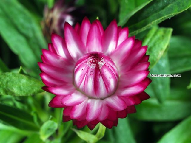 73322030_3364723216901530_6239314323932446720_o