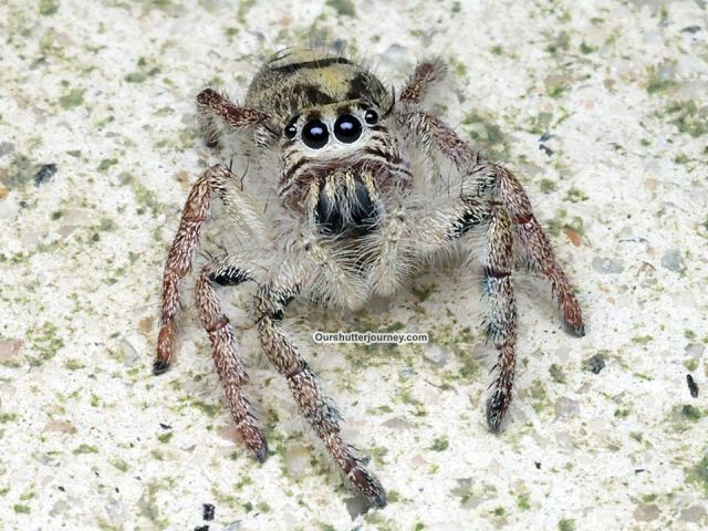 79995823_3536488079725042_3440775253754642432_o