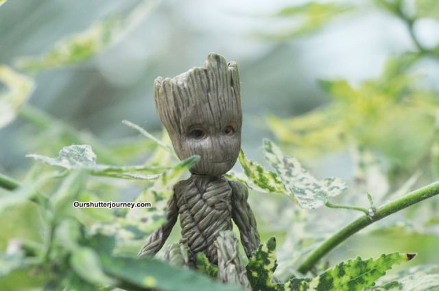 90199090_3797109223662925_700895652904697856_o