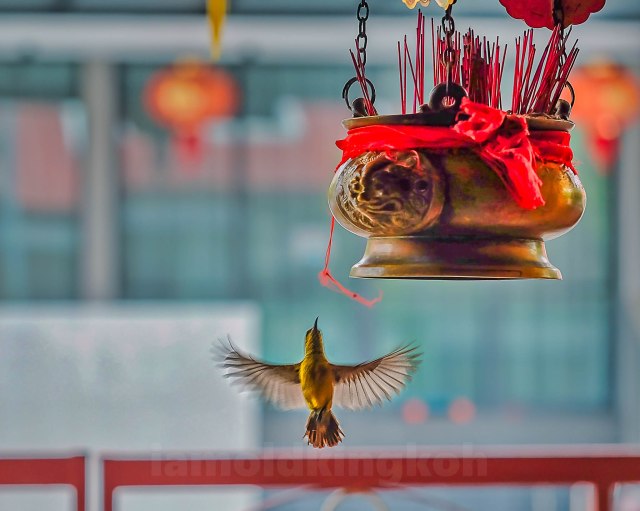 DSCF7352_Luminar4-edit