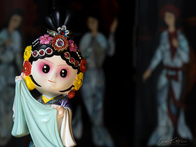 P5070910 - shanghai doll_ip