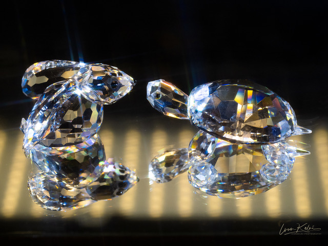 P5090954_crystal_covid