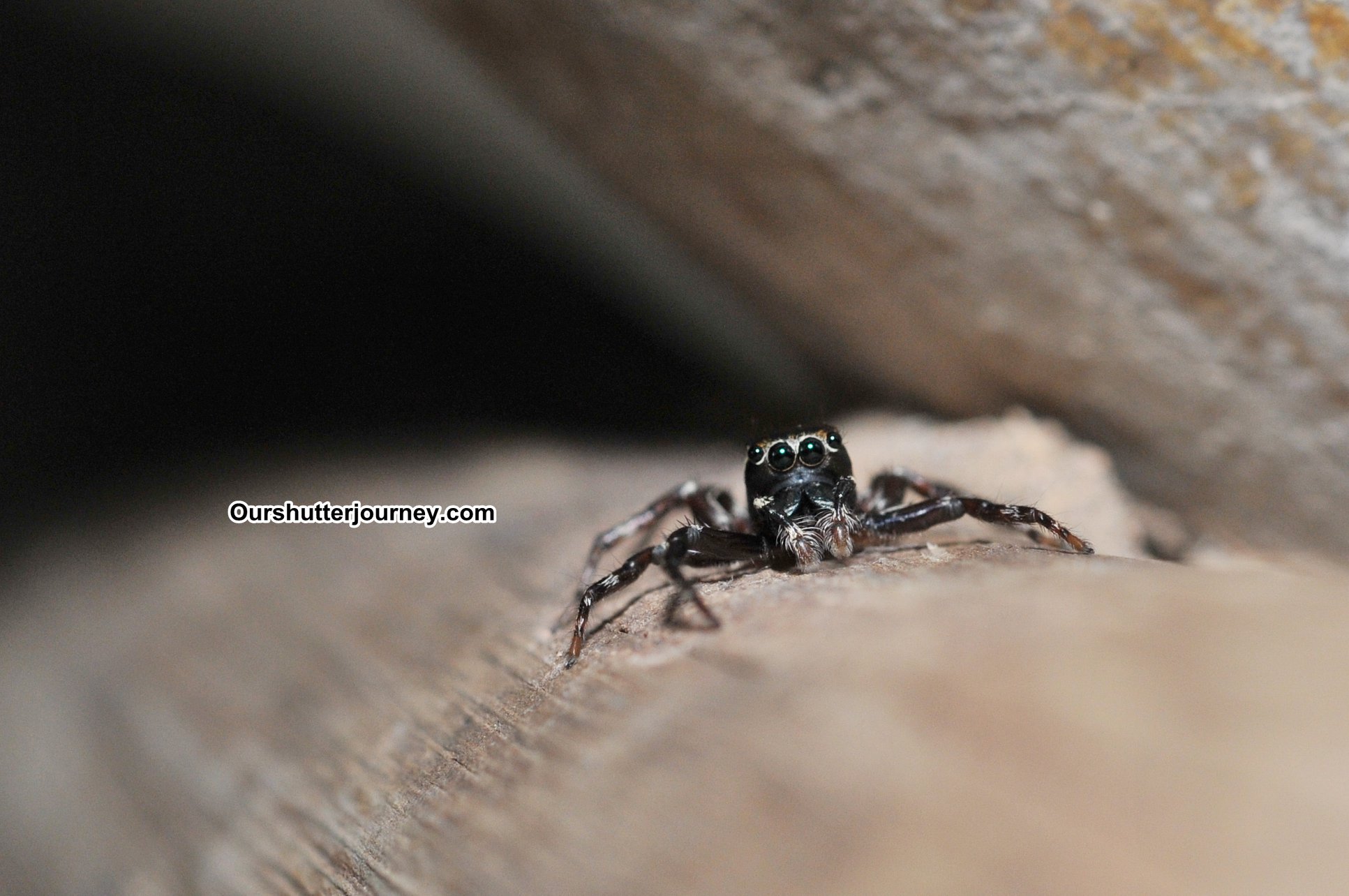 91174213_3848670758506771_3543873486973829120_o