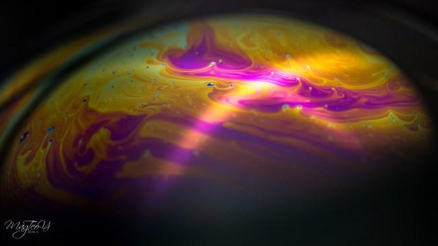 DSC_5125-1 shutterjourneyWM